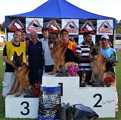 No pódio, Tyson Vom Moorbeck (1º lugar e melhor exemplar em pista) e Larus da Casa Mariotti (3º lugar) na 1ª Exposição Especializada de Cães Pastores Alemães de Poços de Caldas no dia 08/08/2015.