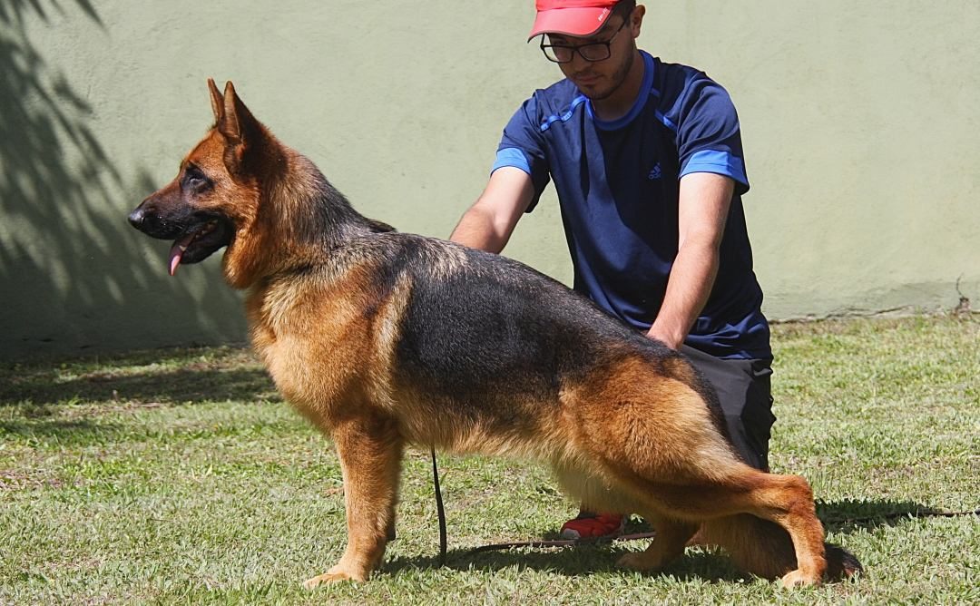 Valentina von Ghattas