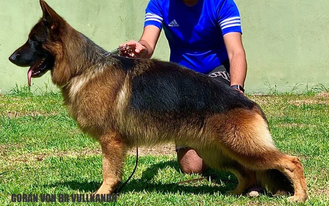 GORAN VON BR VULLKANUN