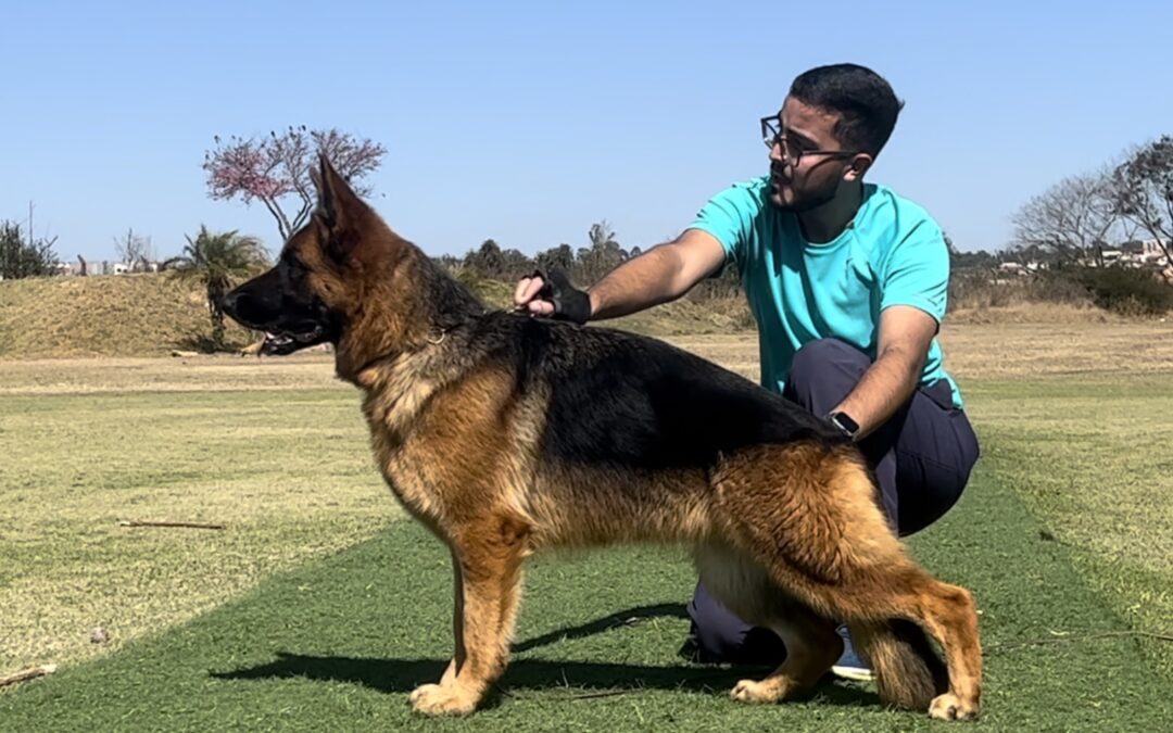 SASKIA VON BR VULLKANUN