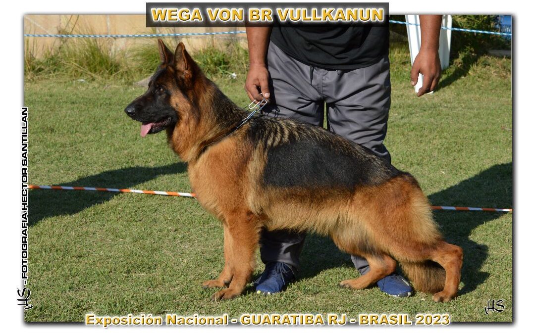 WEGA VON BR VULLKANUN