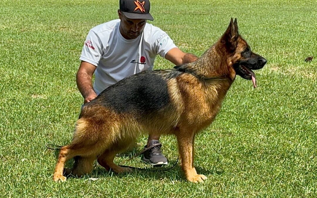 CORA VON BR VULLKANUN