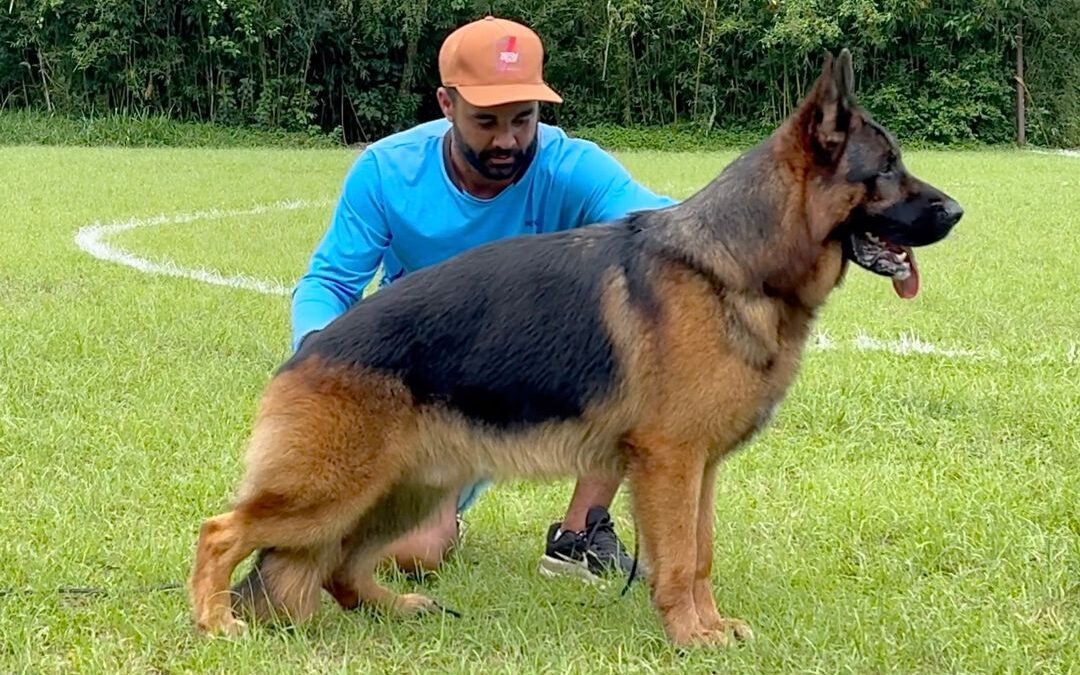 CASSIUS VON BR VULLKANUN